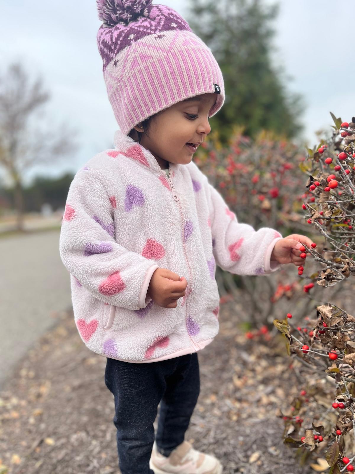 Samanvi, age two, granddaughter of Dr. S.P. Kalantri, touching red berries in winter