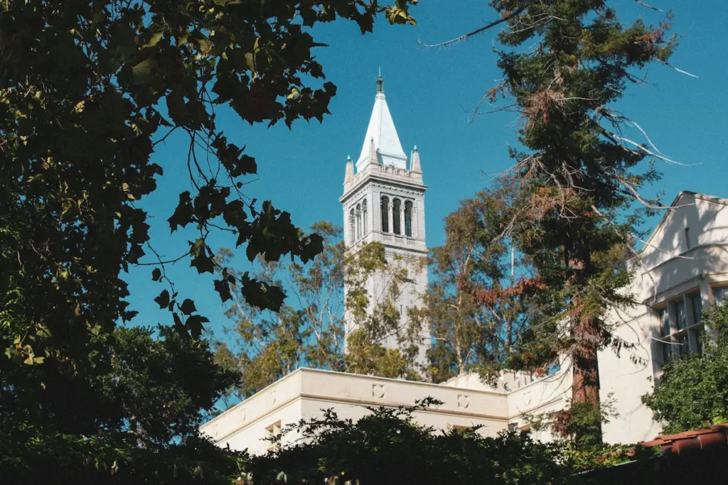 Sather Tower (the Campanile) rising above the tree canopy on the University of California Berkeley campus, 2004, where SP Kalantri studied MPH Epidemiology at the School of Public Health, 2004–05.